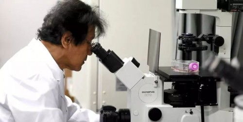 護(hù)膚領(lǐng)域新添猛將 馥茜美容護(hù)膚攜手日本護(hù)膚專家實(shí)力來襲